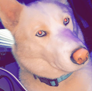 Meet your Posher, Nevaeh